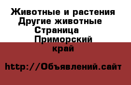 Животные и растения Другие животные - Страница 2 . Приморский край